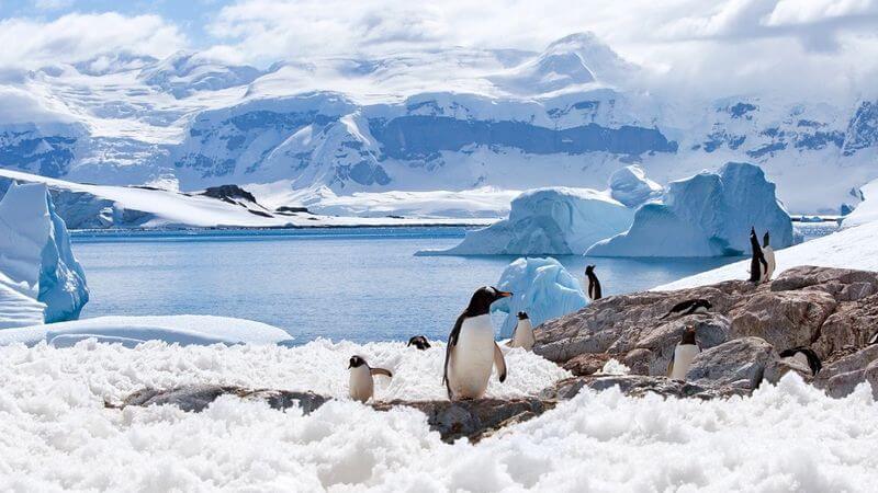 Privát Antarktisz utazás